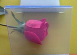 产品名称：透明PVC板
产品型号：透明PVC板
产品规格：透明PVC板